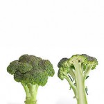 Photo of broccoli on a white background