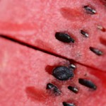 Close up photo of a watermelon