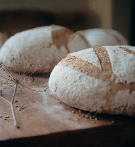 Photo of two sourdough loaves