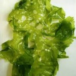 Photo of sea lettuce