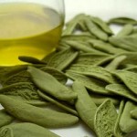 Photo of olive leaves