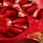 Close up photo of a pomegranate