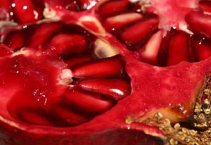 Close up photo of a pomegranate