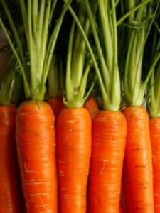 Close up photo of carrots