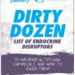 Photo of the cover of the Dirty Dozen endocrine disrupters guide