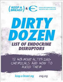 Photo of the cover of the Dirty Dozen endocrine disrupters guide