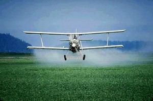 Photo of a airplane spraying pesticides on a field