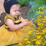 Photo of an infant dressed as a bee