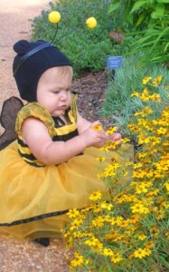 Photo of an infant dressed as a bee