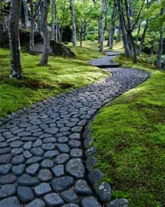 Photo of a stone path winding through trees