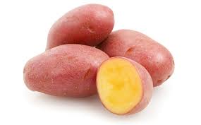 Photo of a genetically modified pink potato