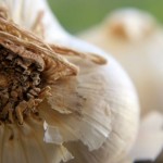 Close-up photo of a garlic bulb