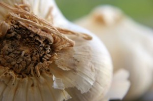 Close-up photo of a garlic bulb