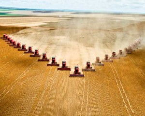 Photo of a monoculture field being harvested