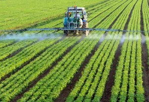 Photo of glyphosate being sprayed on a field