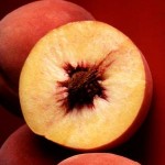 Photo of peaches cut in half