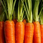 Close-up photo of carrots