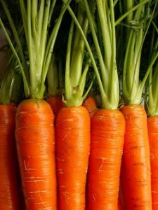 Close-up photo of carrots