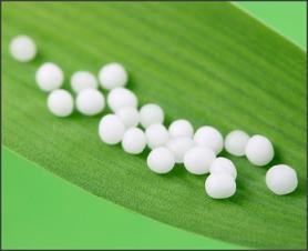 Photo of homeopathic pilules on a leaf