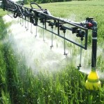 Photo of fungicides being sprayed on a wheat crop