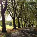 Photo of Gladstone Park, London