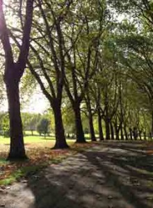 Photo of Gladstone Park, London