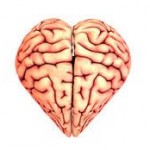 Photo of a brain shaped like a heart