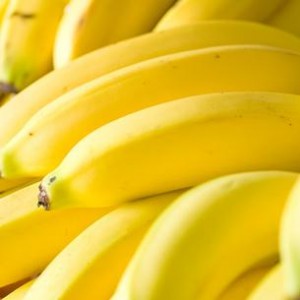 Close up photo of bananas