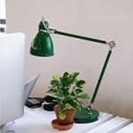 Photo of a plant on a desk