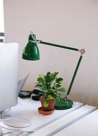 Photo of a plant on a desk