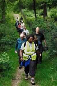 Photo of a group of people on a nature walk