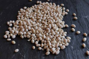 Photo of white beans on a black slate