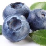 Photo of blueberries
