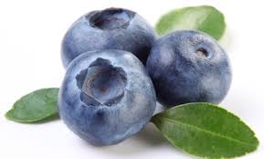 Photo of blueberries