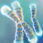 Enhanced photo of telomeres