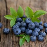 Photo of bilberries