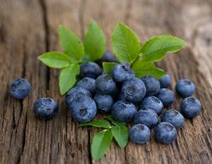 Photo of bilberries