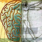 Illustration of the mind-body connection