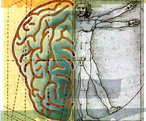Illustration of the mind-body connection