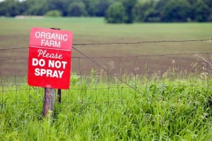 photo of a no pesticides sign on an organic farm