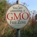 GMO free zone sign at Sheepdrove Organic Farm, Berks
