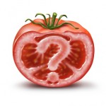 photo of a gmo tomato
