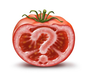 photo of a gmo tomato