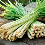 photo of lemon grass