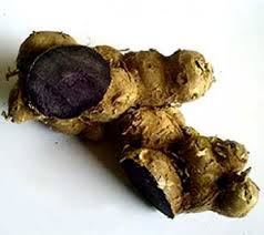 photo of black ginger