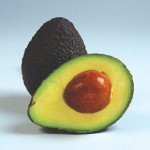 Photo of a Hass avocado