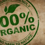 photo of an organic stamp