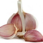 photo of garlic bulb