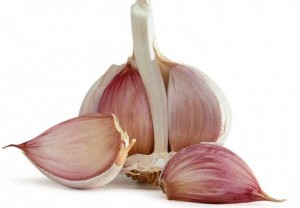 photo of garlic bulb