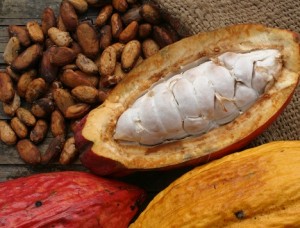 photo of raw cacao